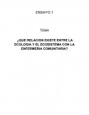 ¿Que relacion existe entre la ecologia y el ecosistema con la enfermeria comunitaria?