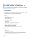 Analisis de la Escuela Albert Einstein A.C.