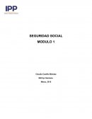 SEGURIDAD SOCIAL MODULO 1