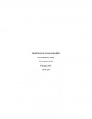 Identificación de conceptos de calidad. Toyota