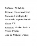 Ensayo sobre los tipos de socializaciónes.