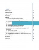 Concepto y tipos de deterioro cognitivo