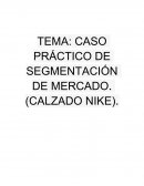 Caso practico calzado NIKE