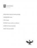 Tema: Modelos y teorias de enfermeria.