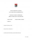 PLANIFICACIÓN ESTRATÉGICA DE RECURSOS HUMANOS.