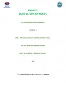 LA EVOLUCIÓN DE LA SILVICULTURA EN MEXICO