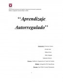 Auditoría e Ingeniería en Control de Gestión