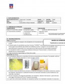 APRENDIZAJES ESPERADOS EN SALON