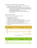 Preparación para la actividad colaborativa (de forma individual).