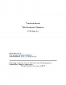 Fraccionamientos Félix Fernández Villalpando