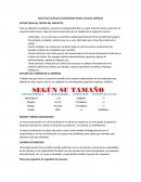 Aspectos tecnicos a considerar para la nueva empresa.