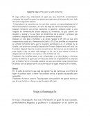 Reporte viaje a Freixenet y peña de Bernal.