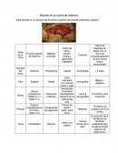 Bisonte en la cueva de Altamira.