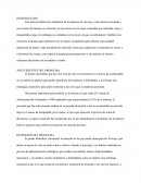 CASO JET AIR WAYS- ANTECEDENTES DEL PROBLEMA