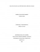 CUAL ES EL ROL DEL CULTOR FISICO EN EL AREA DE LA SALUD