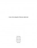 Embarazo adolescente,investigación se realizará en la ciudad de Los Ángeles,