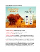 Analisis pantene.