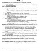 Bloque de Constitucionalidad Federal.