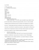 CADENA DE VALOR Y FUERZAS COMPETITIVAS SOBRE LA JUVENIL