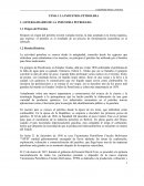 TEMA 1 LA INDUSTRIA PETROLERA.