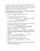 Tema: Estudio de mercado.