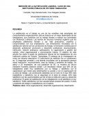 MEDICIÓN DE LA SATISFACCIÓN LABORAL: CASO DE UNA INSTITUCIÓN PÚBLICA DE VICTORIA TAMAULIPAS