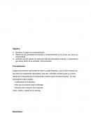 Tarea 1 emprendimiento.