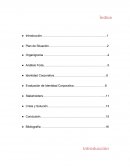 Ensayo Comunicaciones Institucionales