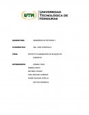 Fabricacion de Bloques.