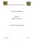 Tema: Derecho Castellano.