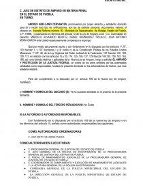 AMPARO INDIRECTO CONTRA ORDEN DE APREHENSIÓN EN PUEBLA - Documentos de  Investigación - JERRY8CASTILLO
