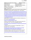 Medios de defensa y promoción del comercio exterior. evidencia 2.