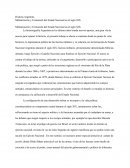 HISTORIA ARGENTINA . Militarización y Formación del Estado Nacional en el siglo XIX.