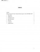 Balance General de Ventas Tienda de Patines Agresivo “DLX DISTRIBUTION”