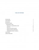 PROCESOS DE LA COMPRENSIÓN LECTORA