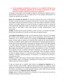 ¿Qué estrategias competitivas se aplican en la compañía?