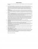 Trabajo Practico: La experiencia escolar de maestros “inexpertos”. Biografías, trayectorias y práctica profesional. (A. Alliaud).