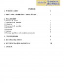 Investigación sobre los estatutos sociales y generales de la universidad del Caribe