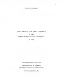 VARIABLES A TENER EN CUENTA PARA ARMAR, UN PLAN DE DESARROLLO NACIONAL