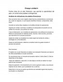 Ensayo de plan de negocios.