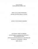 CASO ESTUDIO PETROLERA DEL OESTE LTDA