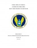 CENTRO DE GRAVEDAD MALVINAS.