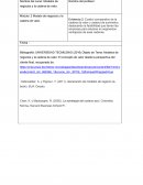 Cuadro comparativo de la cadena de valor y cadena de suministro, destacando la factibilidad que tienen las empresas para situarse en segmentos ventajosos de esas cadenas.