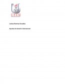 Apuntes de derecho internacional.