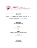ENSAYO PERU APEC 2016.