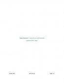 Tarea individual 1: Funciones de la administración.