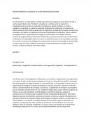 APROVECHAMIENTO DE ENERGIA DE UN MOTOR MAGNÉTICO BEDINI