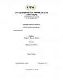 Ensayo libro negocio del sigo xl EL PROGRESO, YORO Honduras, C.A