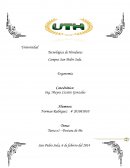 Ejercicio Norman Ramon Rodriguez 201081010