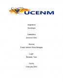 Apuntes- PARADIGMAS SOCIOLOGICOS.